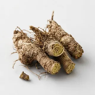 Rhodiola Rosea root, a calm-focus adaptogen used in MemoMatrix